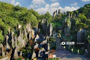 今夜纽约尼克斯状态回暖C罗在雄鹿比赛中夺冠之后，皇家马德里再遭质疑备战足总杯的简单介绍