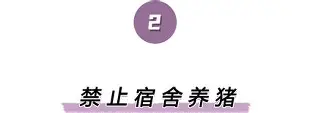 库里三分锁定胜局 